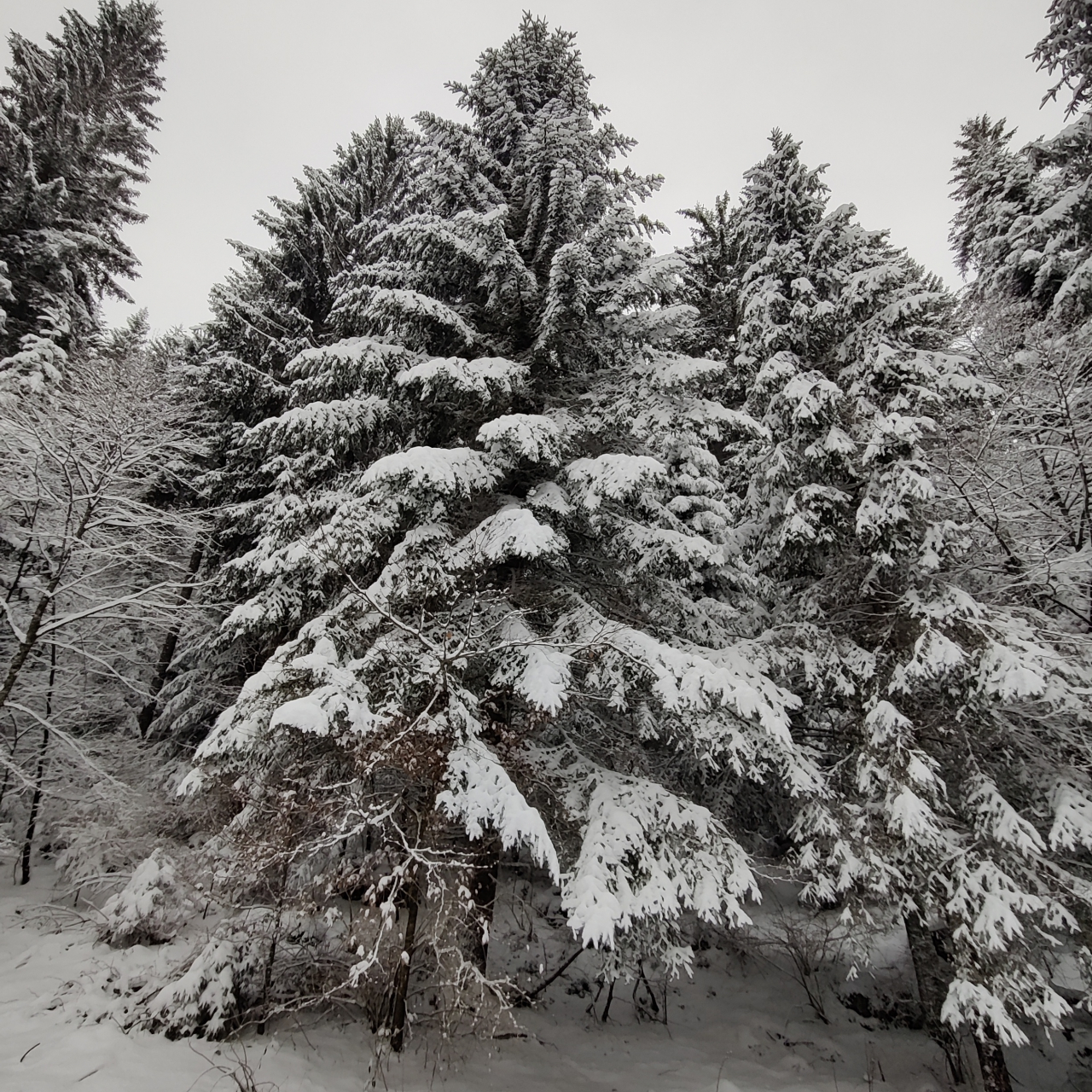 Consulenza del lavoro a privati e aziende